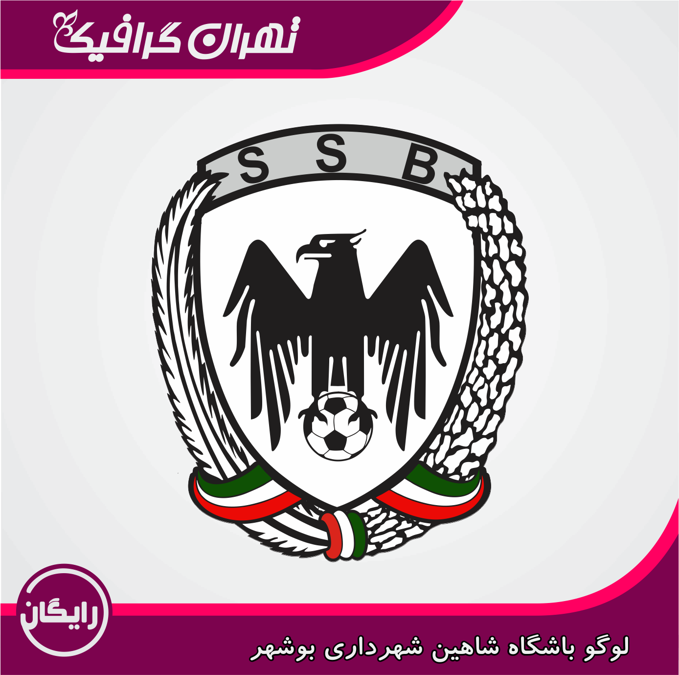 عکس با کیفیت شاهین روی صخره عکس با کیفیت شاهین روی صخره