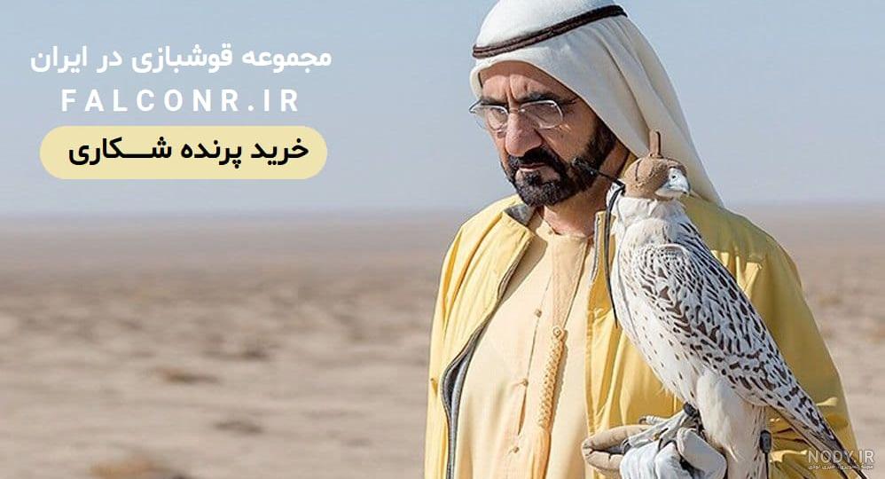 عکس با کیفیت عقاب سیاه سفید عکس با کیفیت عقاب سیاه سفید