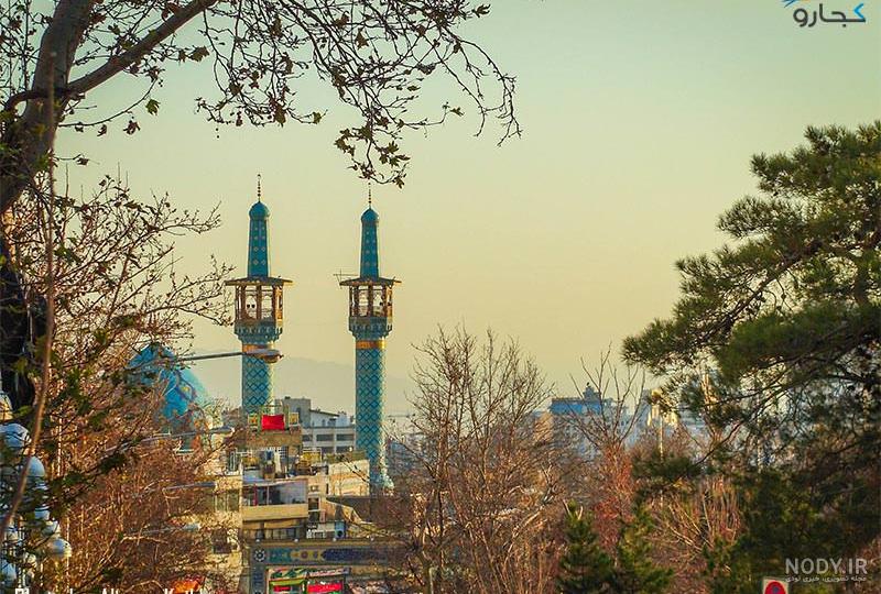 عکس تاریخی از درخت چنار کهنسال امامزاده صالح عکس تاریخی از درخت چنار کهنسال امامزاده صالح