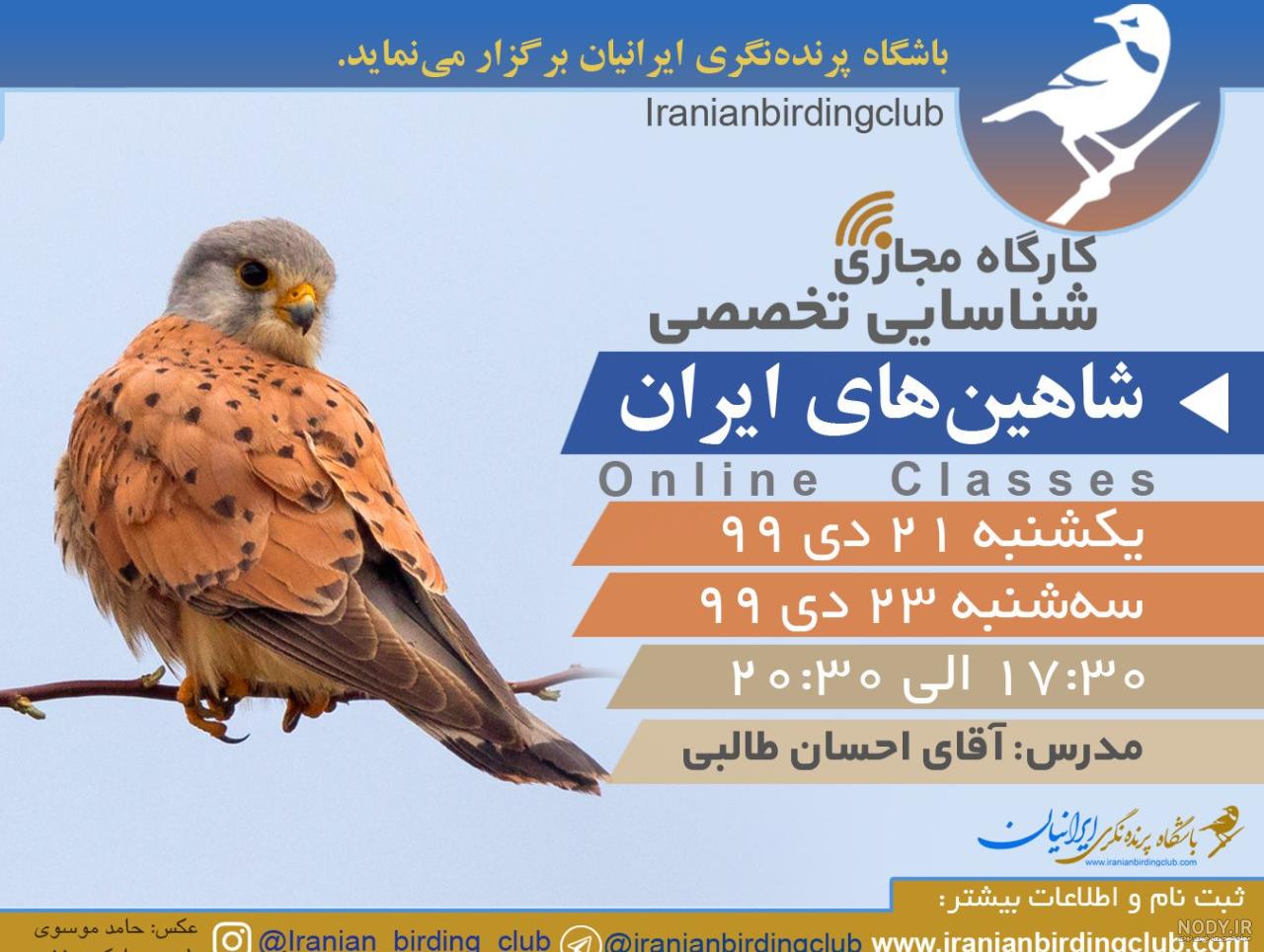 عکس شاهین های ایرانی - عکس نودی