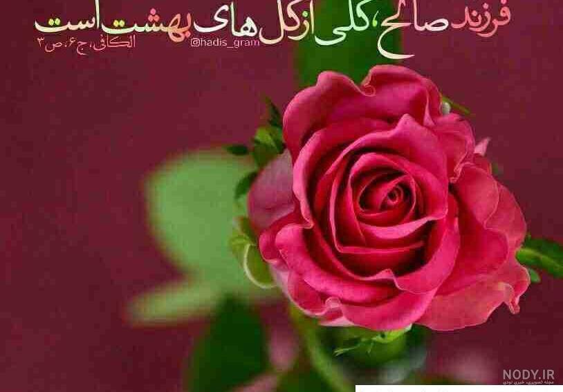 عکس صالح در فیلم گودال ❤️ [ بهترین تصاویر ]