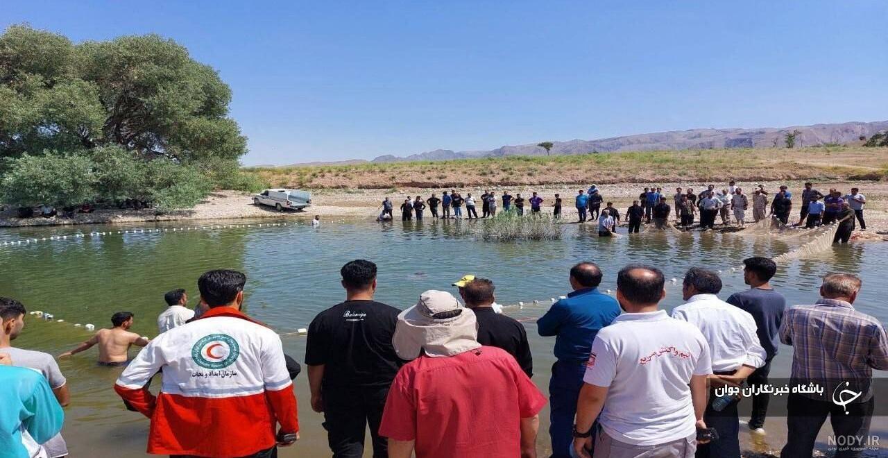 عکس عقاب شاهین دژ - عکس نودی عکس عقاب شاهین دژ - عکس نودی