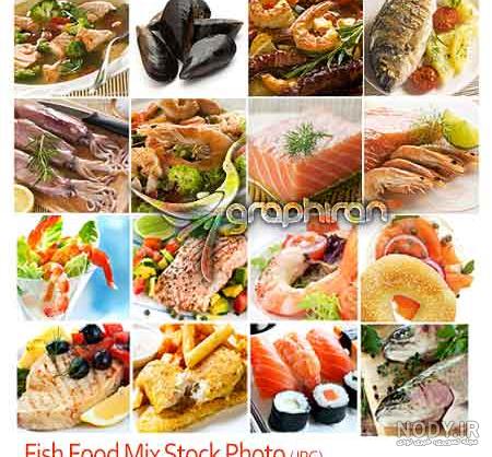 انواع صدف خوراکی (Oyster) - پوپونیک