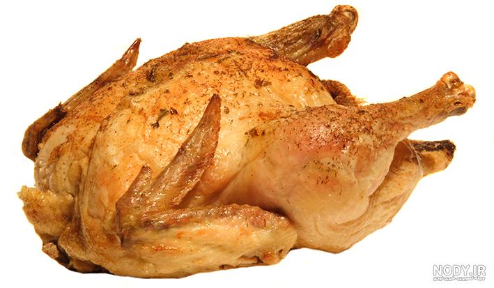 حکم خوردن صدف (لابستر، خرچنگ، هشت پا) چیست ؟ حکم خوردن صدف (لابستر، خرچنگ، هشت پا) چیست ؟