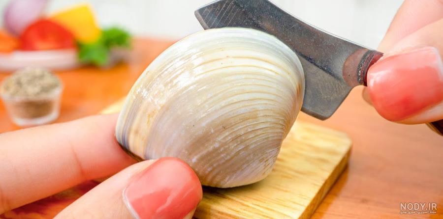 خواص و فواید صدف خوراکی + طرز تهیه، عوارض و فرق آن با گوش ماهی - ایمنا خواص و فواید صدف خوراکی + طرز تهیه، عوارض و فرق آن با گوش ماهی - ایمنا