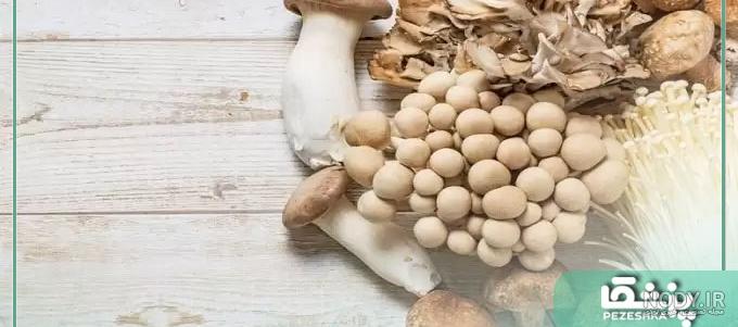 شاه صدف در سبد غذایی خانوارها - خبرگزاری سیناپرس