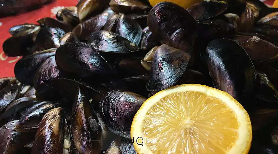 صدف دریایی فانتزی - فروشگاه اینترنتی داروک صدف دریایی فانتزی - فروشگاه اینترنتی داروک