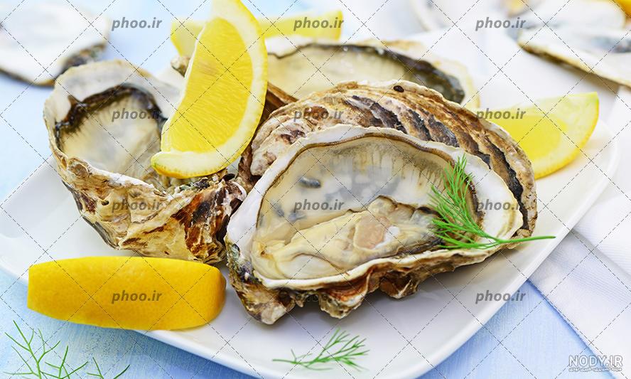 گران قیمت‌ترین غذاهای دریایی در دنیا | لست‌سکند