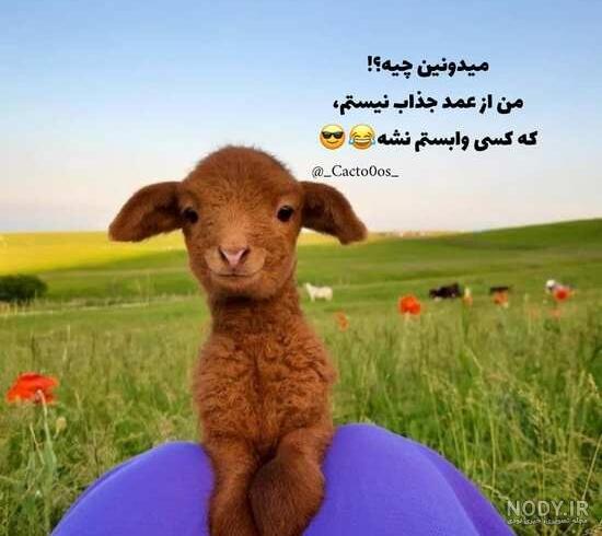عکس پروفایل خنده دار دخترونه جدید و باحال، بامزه، طنز، بدون متن عکس پروفایل خنده دار دخترونه جدید و باحال، بامزه، طنز، بدون متن