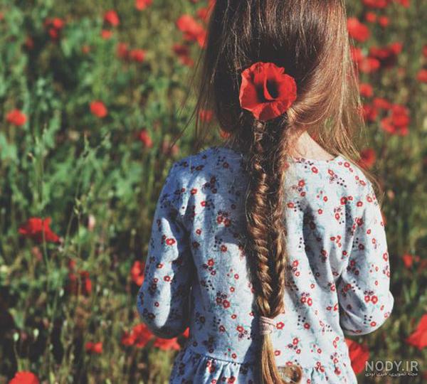 عکس پروفایل رز صورتی شیک و با کیفیت