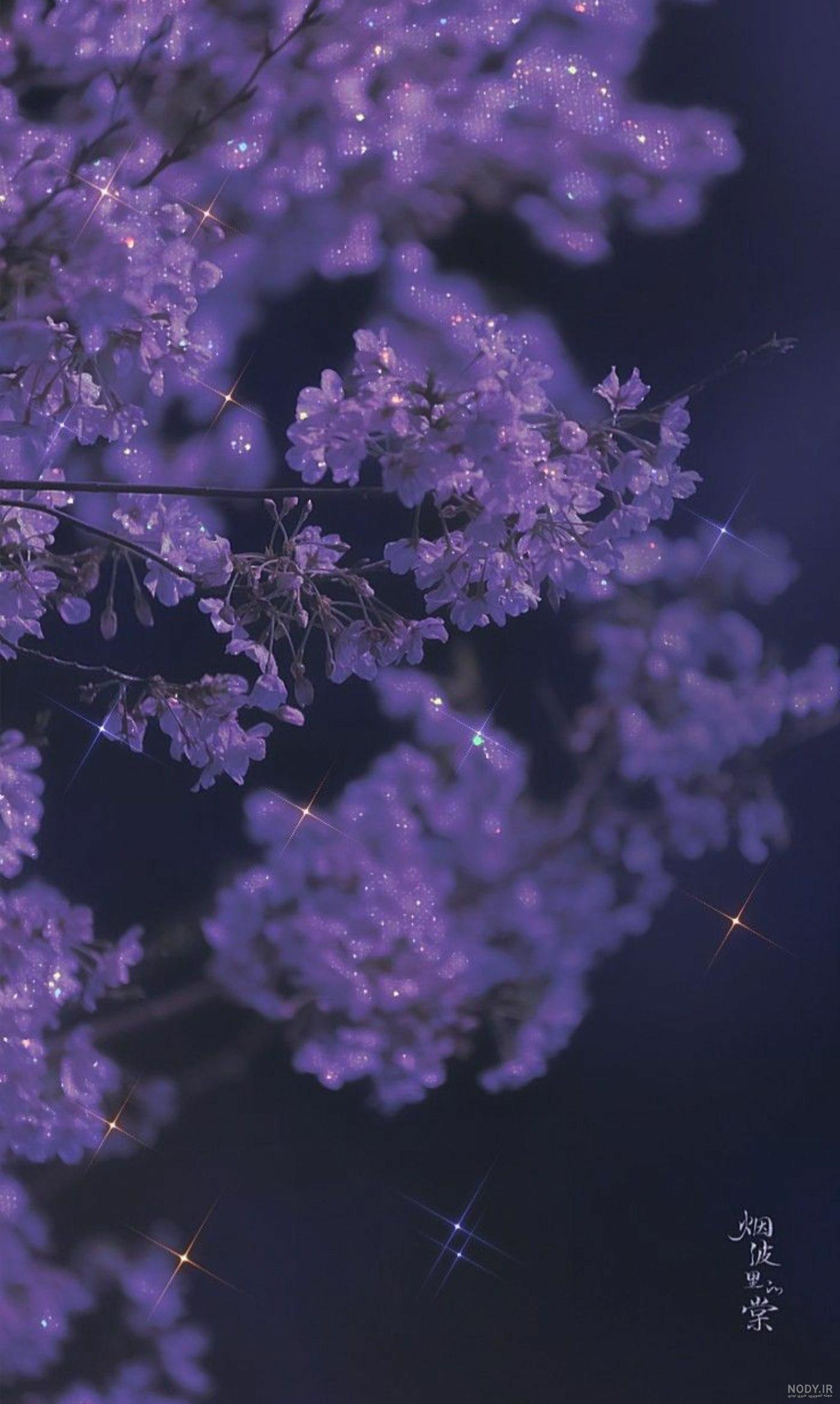 عکس کیوت بنفش برای پروفایل