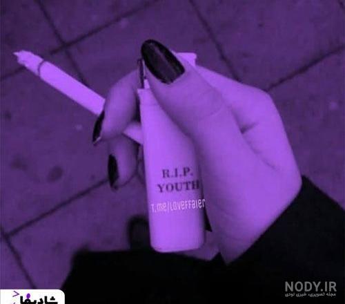 عکس کیوت بنفش برای پروفایل