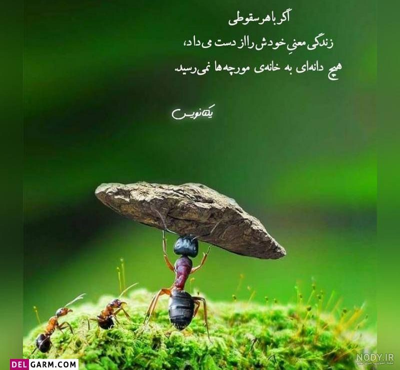 متن برای وضعیت واتساپ + استاتوس و جملات زیبای مفهومی و خاص متن برای وضعیت واتساپ + استاتوس و جملات زیبای مفهومی و خاص