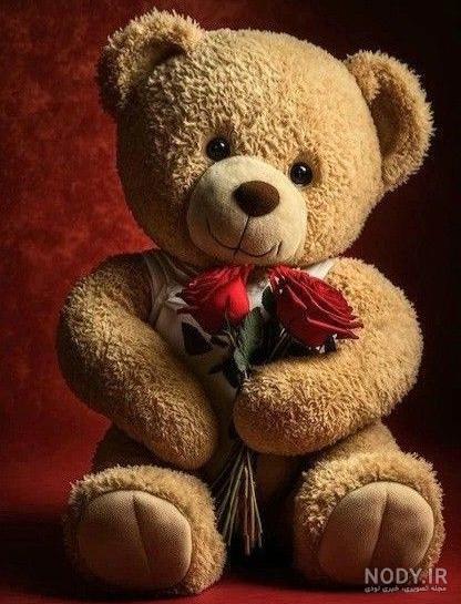 عکس خفن عکس خرس عروسکی برای پروفایل واتساپ