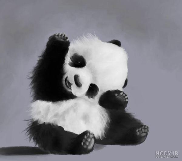 عکس خفن عکس خرس عروسکی برای پروفایل واتساپ