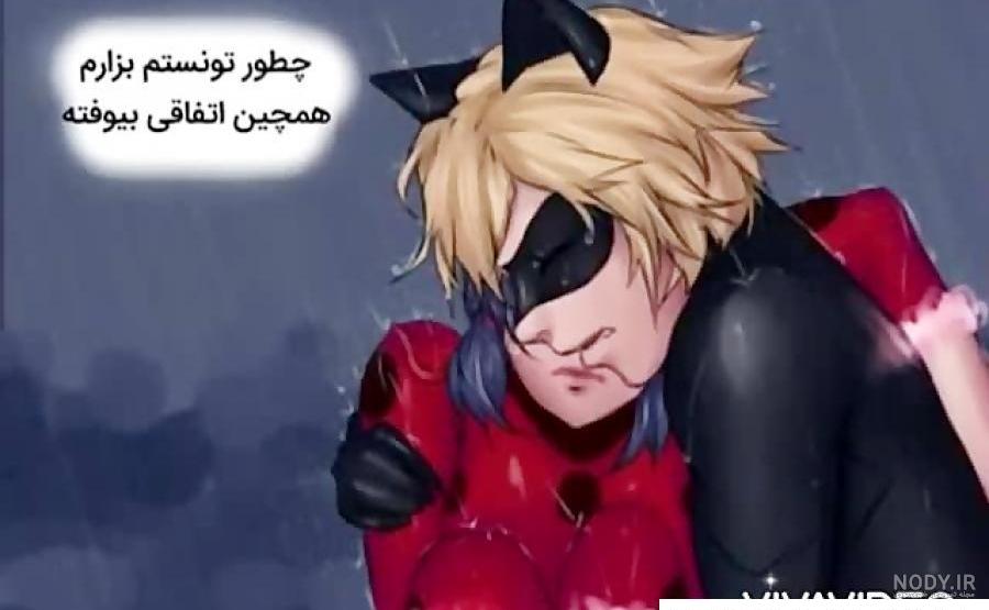 عکس های عاشقانه لیدی باگ و کت نوار