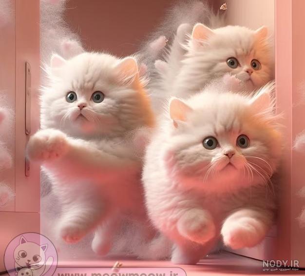 عکس گربه عروسکی - عکس نودی عکس گربه عروسکی - عکس نودی