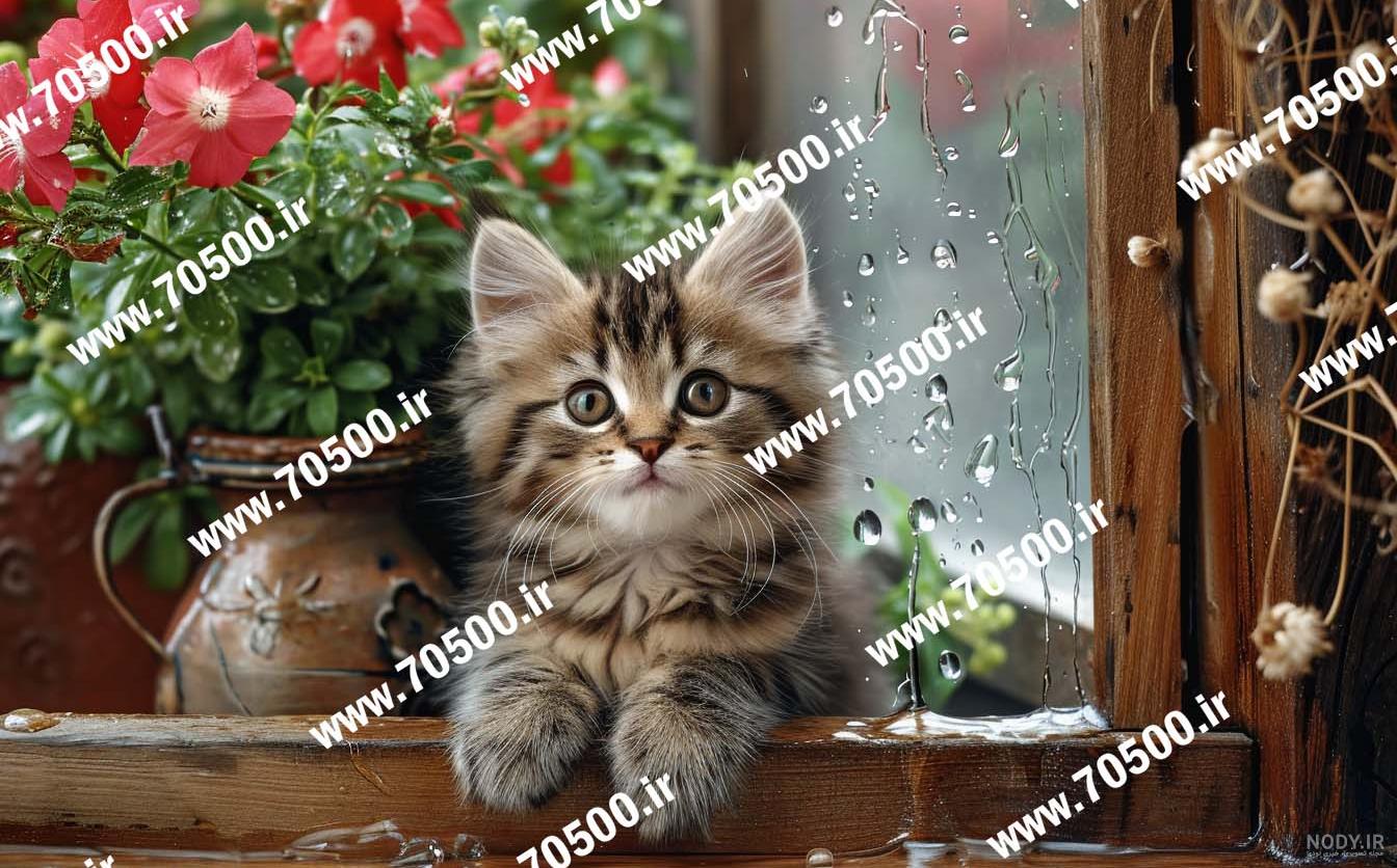 نقاشی بچه گربه بامزه