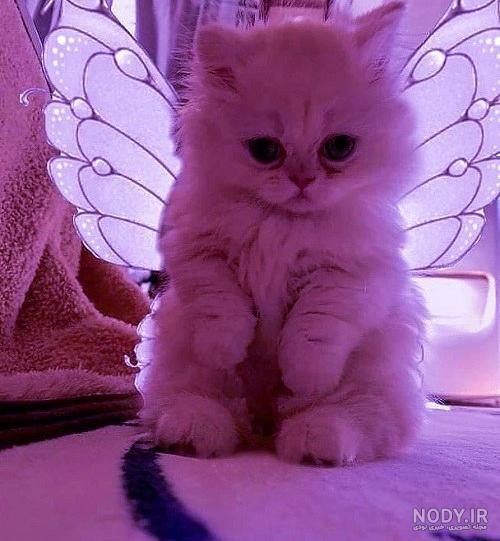 عکس پروفایل بدون متن خاص