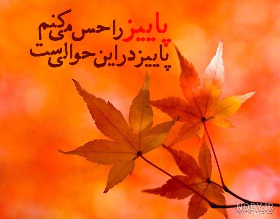 37 عکس پروفایل پاییزی دخترانه جدید : انتخابی زیبا - دیاکولند