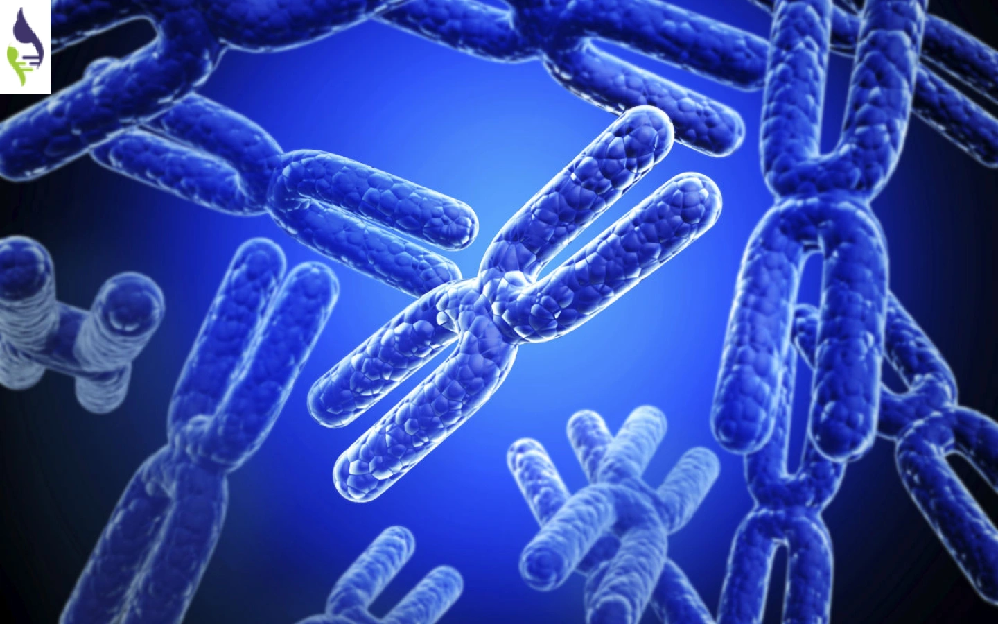 DNA چیست؟ | ساختار مولکول DNA و اجزای آن چگونه است؟ - تریتا DNA چیست؟ | ساختار مولکول DNA و اجزای آن چگونه است؟ - تریتا