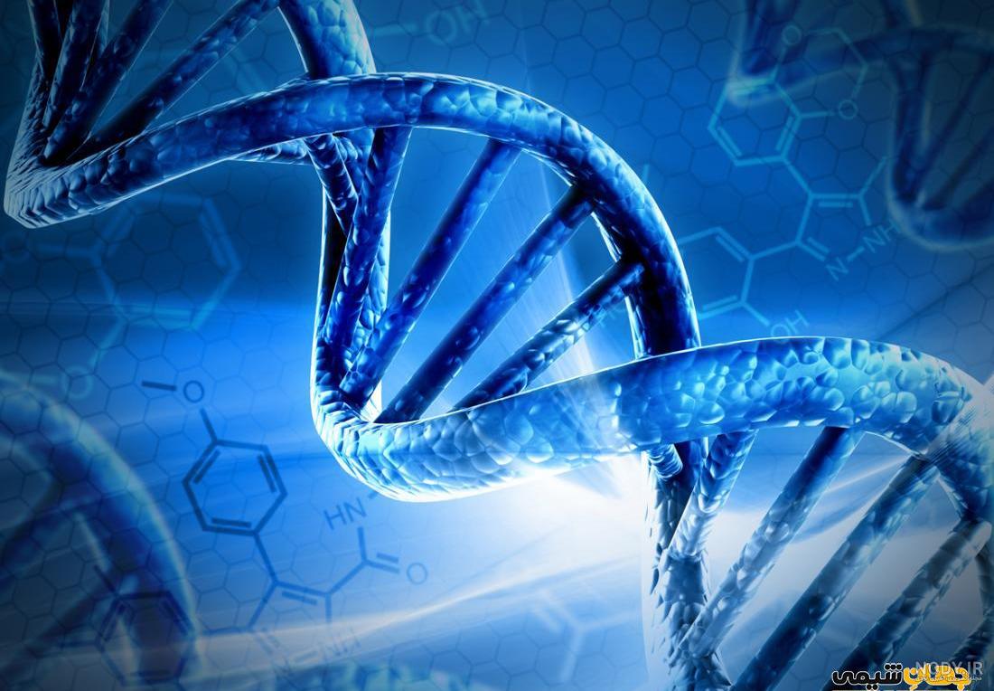 انواع آزمایش دی ان ای و نحوه انجام آزمایش DNA + روش انواع آزمایش دی ان ای و نحوه انجام آزمایش DNA + روش