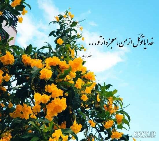 بهترین عکس پروفایل بدون متن + بهترین عکس پروفایل واتساپ