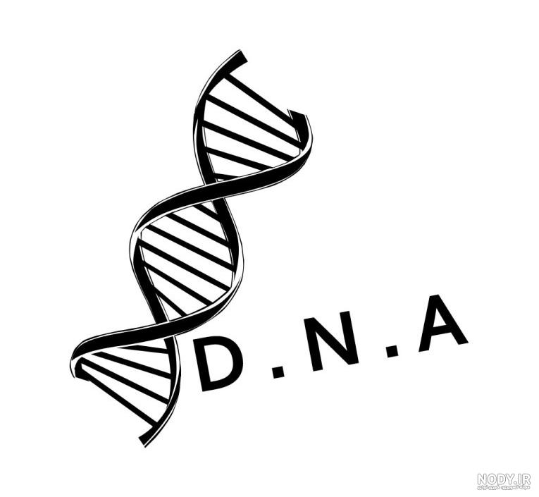 تفاوت ژن، dna و کروموزوم در چیست؟ | یکتا تجهیز تفاوت ژن، dna و کروموزوم در چیست؟ | یکتا تجهیز