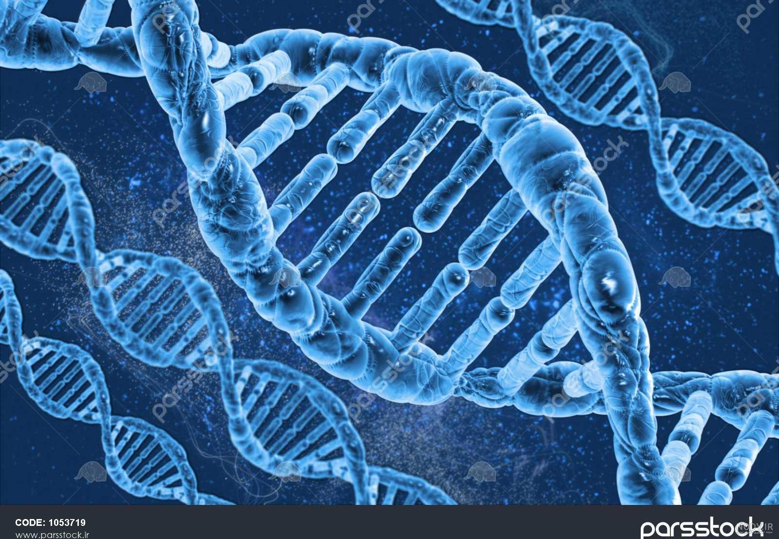 جمجمه های شبه انسان با DNA غیرانسانی + عکس - تسنیم جمجمه های شبه انسان با DNA غیرانسانی + عکس - تسنیم