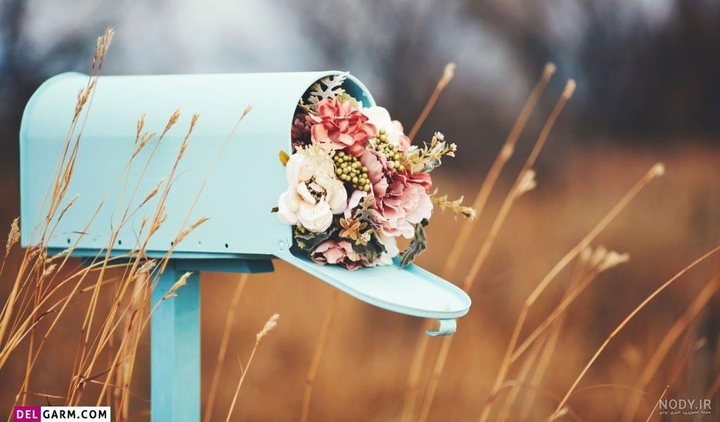 دانلود عکس گل برای پروفایل اینستاگرام - عکس نودی دانلود عکس گل برای پروفایل اینستاگرام - عکس نودی
