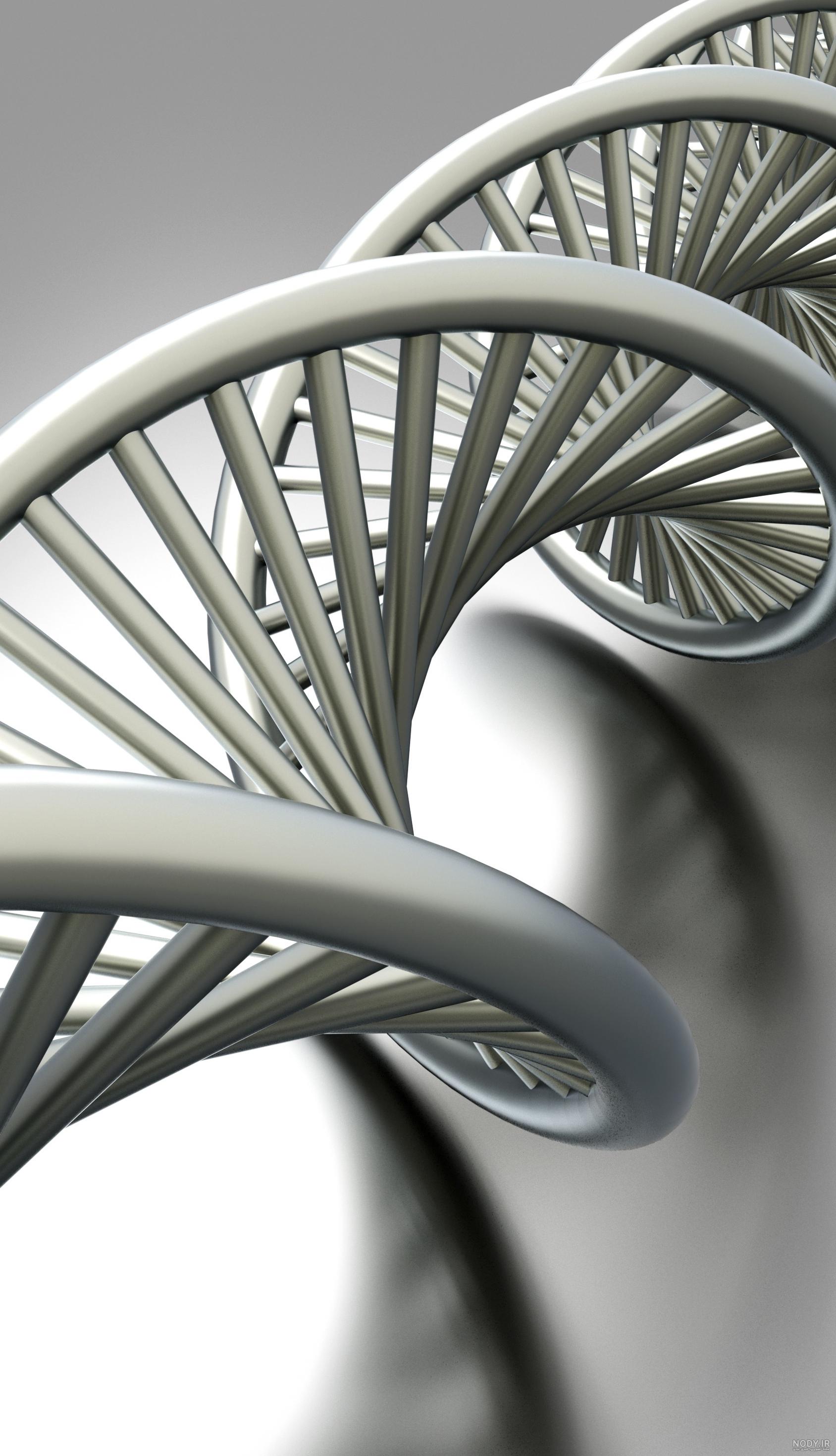 ساختار DNA » موسسه علمی پژوهشی نجم شمال ساختار DNA » موسسه علمی پژوهشی نجم شمال