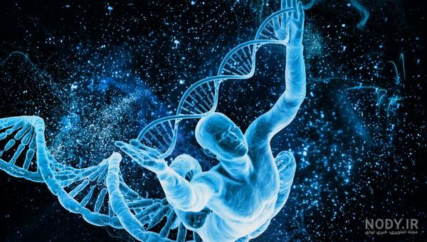 ساختار DNA و کروموزوم و وظایف آن - کلینیک نسل فردا ساختار DNA و کروموزوم و وظایف آن - کلینیک نسل فردا