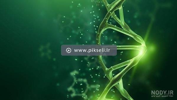 طرح های متنوع dna دی ان ای | بُرچین – تصاویر دوربری شده، فایل های آماده، عکس png رایگان، دانلود psd رایگان طرح های متنوع dna دی ان ای | بُرچین – تصاویر دوربری شده، فایل های آماده، عکس png رایگان، دانلود psd رایگان
