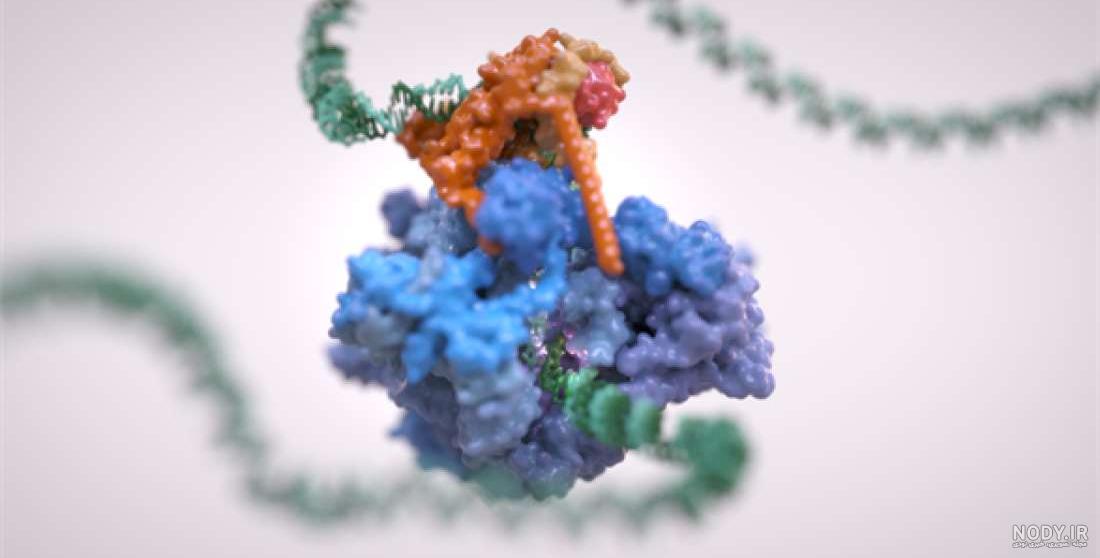 طرح گرافیکی DNA - دیجیت باکس - DigitBox طرح گرافیکی DNA - دیجیت باکس - DigitBox