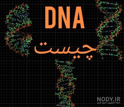 عکس با کیفیت متخصص خون یا دانشمند ژنتیک در کنار ساختار دی ان ای DNA - لایه باز طرح آماده psd - eps عکس با کیفیت متخصص خون یا دانشمند ژنتیک در کنار ساختار دی ان ای DNA - لایه باز طرح آماده psd - eps