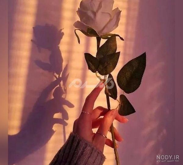 عکس زیبا برای پروفایل اینستا ❤️ [ بهترین تصاویر ]
