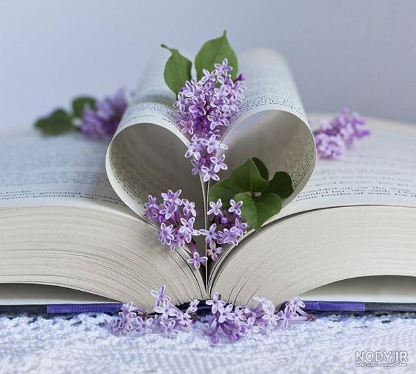 عکس زیبا برای پروفایل اینستا ❤️ [ بهترین تصاویر ]