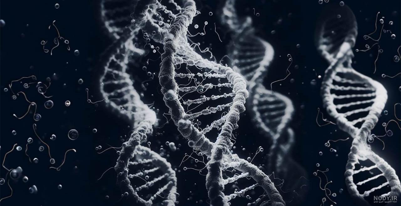عکس کروموزوم سبز ژنتیک (DNA) زیست شناسی بر زمینه روشن عکس کروموزوم سبز ژنتیک (DNA) زیست شناسی بر زمینه روشن