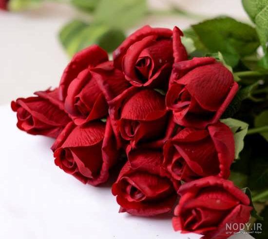 عکس گل برای پروفایل اینستا عکس گل برای پروفایل اینستا