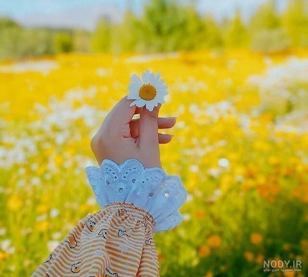 پروفایل اینستا