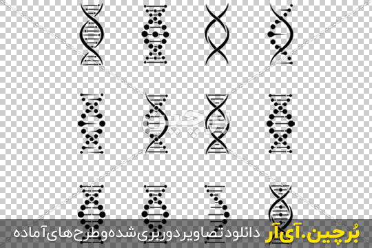 چیز هایی که باید در مورد DNA بدانید" - تستچی چیز هایی که باید در مورد DNA بدانید" - تستچی