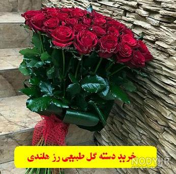 دسته گل زیبا | دسته گل زیبا برای تبریک | عکس گل برای تبریک | سبد گل برای  تبریک