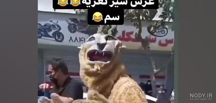 سوتی تعزیه شیر