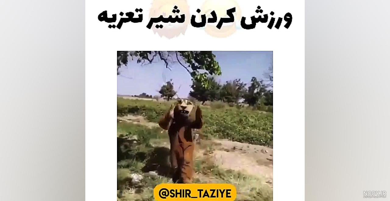 سوتی های شیر تعزیه #خنده #باحال #فان #lion - YouTube