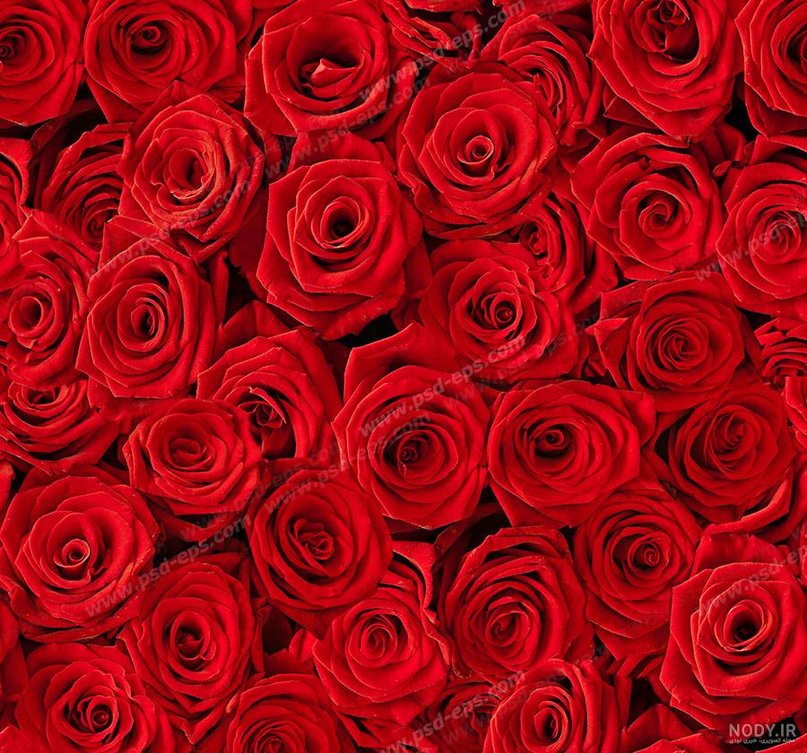 عکس دسته گل های بزرگ