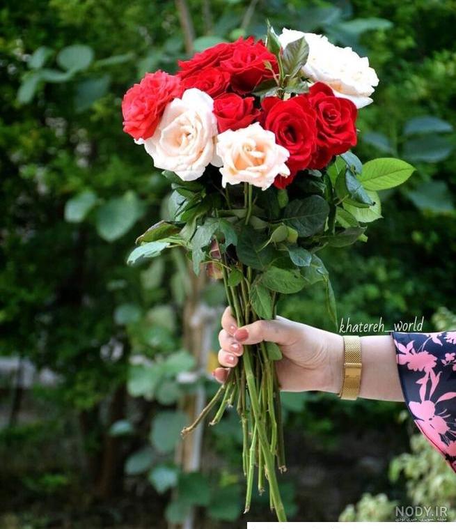 عکس یه دسته گل زیبا - عکس نودی عکس یه دسته گل زیبا - عکس نودی