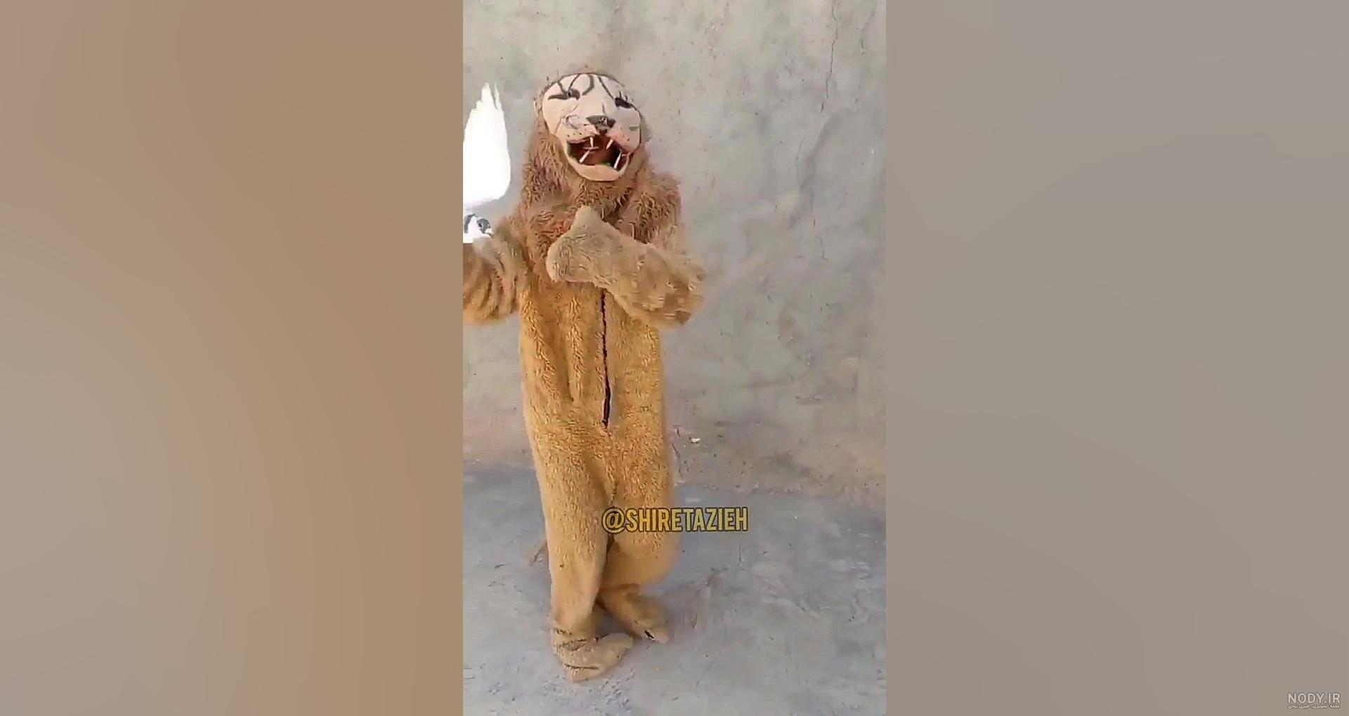 فارس - شیر گردانی؛ آیین کهن «ششتمد» در عزاداری محرم - صاحب‌خبر