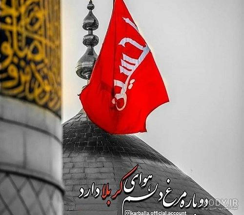 22 عکس باکیفیت حرم امام حسین (ع)