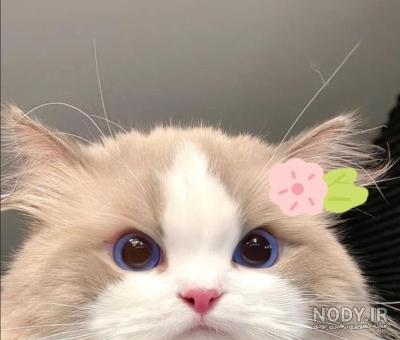 16 عکس کیوت ideas | soft kidcore, pastel aesthetic, soft kidcore aesthetic 16 عکس کیوت ideas | soft kidcore, pastel aesthetic, soft kidcore aesthetic
