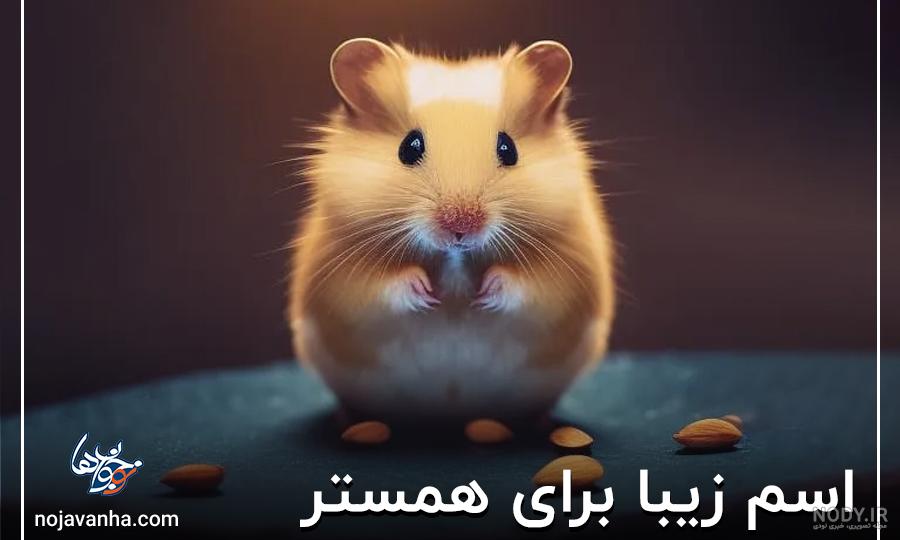 22 گیف حیوانات بامزه و گوگولی 22 گیف حیوانات بامزه و گوگولی